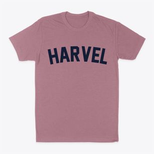 Harvel Illinois Classic Curve Classic Dad T-Shirt