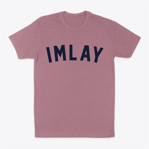Imlay Nevada Classic Curve Classic Dad T-Shirt