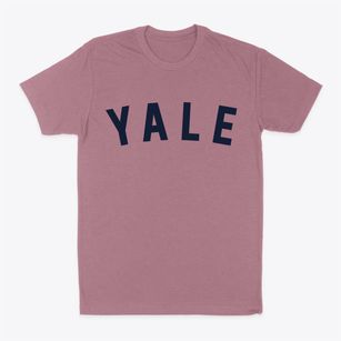 Yale Illinois Classic Curve Classic Dad T-Shirt