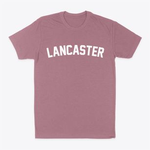 Lancaster Pennsylvania Classic Curve Classic Dad T-Shirt