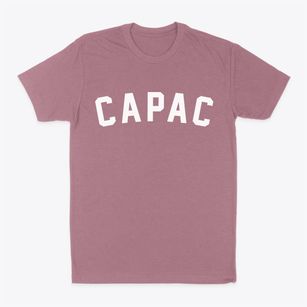 Capac Michigan Classic Curve Classic Dad T-Shirt