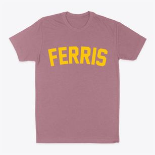 Ferris Texas Classic Curve Classic Dad T-Shirt