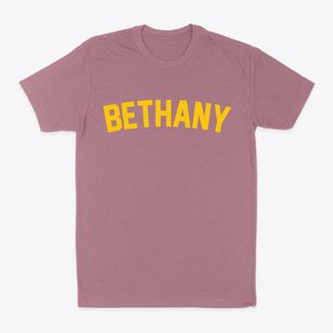Bethany Illinois Classic Curve Classic Dad T-Shirt