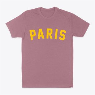Paris Pennsylvania Classic Curve Classic Dad T-Shirt