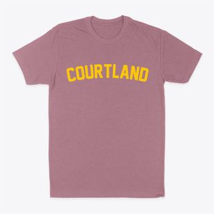 Courtland Wisconsin Classic Curve Classic Dad T-Shirt
