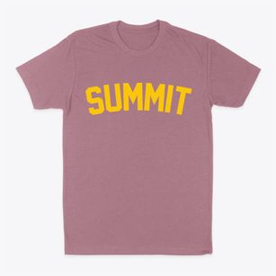 Summit South Carolina Classic Curve Classic Dad T-Shirt