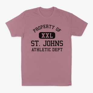 St. Johns Michigan Athletic Dept Classic Dad T-Shirt