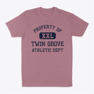 Twin Grove Illinois Athletic Dept Classic Dad T-Shirt