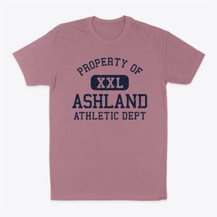 Ashland New York Athletic Dept Classic Dad T-Shirt
