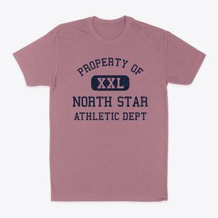 North Star Ohio Athletic Dept Classic Dad T-Shirt