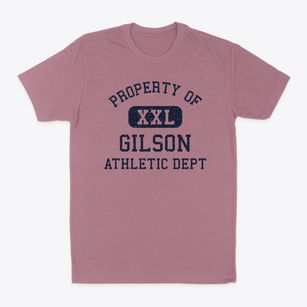 Gilson Illinois Athletic Dept Classic Dad T-Shirt