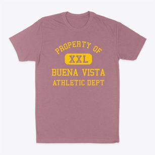 Buena Vista Virginia Athletic Dept Classic Dad T-Shirt