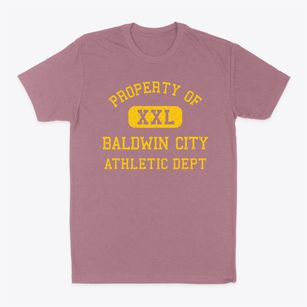 Baldwin City Kansas Athletic Dept Classic Dad T-Shirt