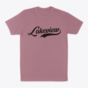 Lakeview New York Vintage Team Classic Dad T-Shirt