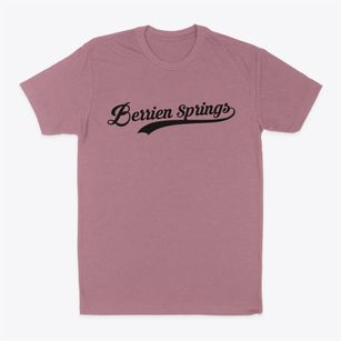 Berrien Springs Michigan Vintage Team Classic Dad T-Shirt