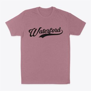Waterford Vermont Vintage Team Classic Dad T-Shirt
