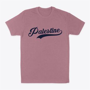 Palestine Illinois Vintage Team Classic Dad T-Shirt