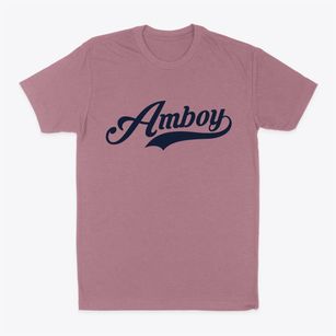 Amboy New York Vintage Team Classic Dad T-Shirt