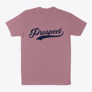 Prospect New York Vintage Team Classic Dad T-Shirt