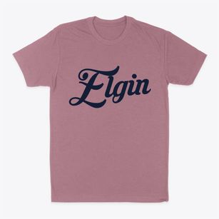 Elgin Kansas Vintage Team Classic Dad T-Shirt