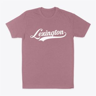Lexington Massachusetts Vintage Team Classic Dad T-Shirt