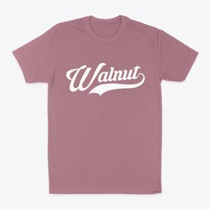 Walnut Iowa Vintage Team Classic Dad T-Shirt