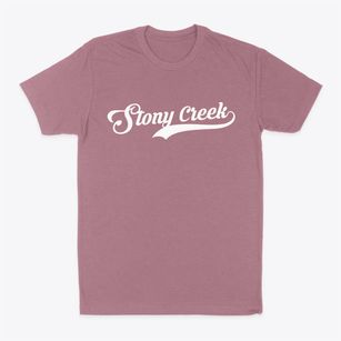 Stony Creek New York Vintage Team Classic Dad T-Shirt