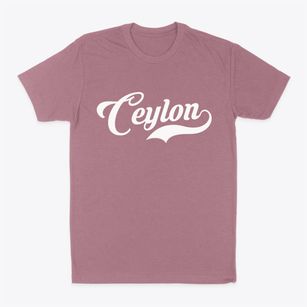 Ceylon Minnesota Vintage Team Classic Dad T-Shirt