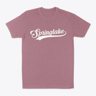 Springlake Texas Vintage Team Classic Dad T-Shirt