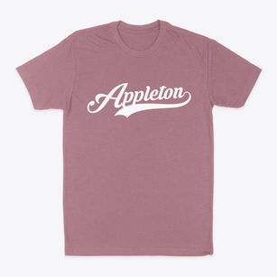 Appleton Wisconsin Vintage Team Classic Dad T-Shirt