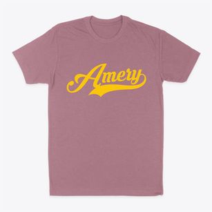 Amery Wisconsin Vintage Team Classic Dad T-Shirt