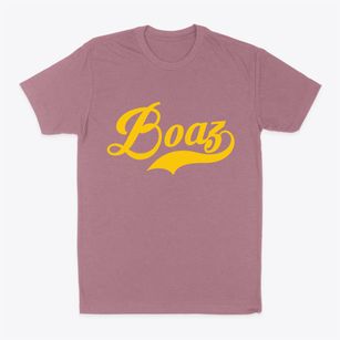 Boaz Wisconsin Vintage Team Classic Dad T-Shirt