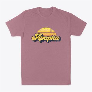 Apopka Florida Sublime Sunset Classic Dad T-Shirt