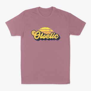 Otselic New York Sublime Sunset Classic Dad T-Shirt