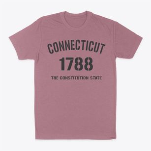  Connecticut Established Classic Dad T-Shirt