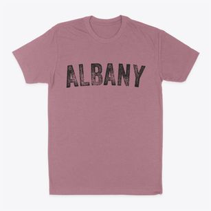 Albany Wyoming Timeless Retro Classic Dad T-Shirt
