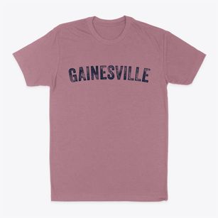 Gainesville Florida Timeless Retro Classic Dad T-Shirt