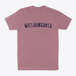 Williamsdale Ohio Timeless Retro Classic Dad T-Shirt