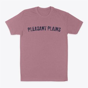 Pleasant Plains Arkansas Timeless Retro Classic Dad T-Shirt