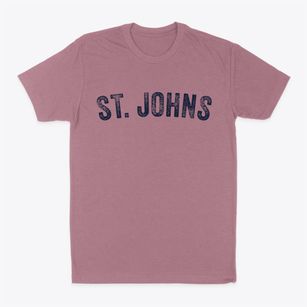 St. Johns Michigan Timeless Retro Classic Dad T-Shirt