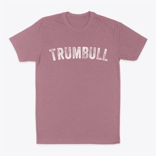 Trumbull Connecticut Timeless Retro Classic Dad T-Shirt