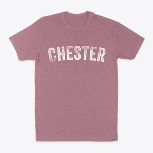Chester Pennsylvania Timeless Retro Classic Dad T-Shirt
