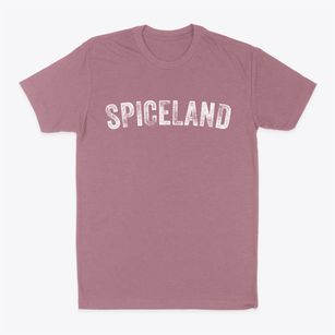 Spiceland Indiana Timeless Retro Classic Dad T-Shirt