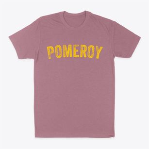 Pomeroy Iowa Timeless Retro Classic Dad T-Shirt