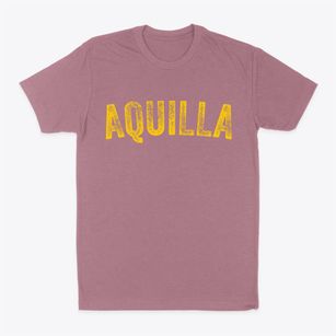 Aquilla Texas Timeless Retro Classic Dad T-Shirt