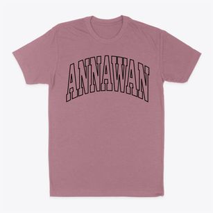 Annawan Illinois Trendy Block Classic Dad T-Shirt