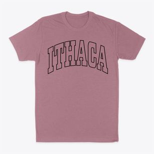 Ithaca Wisconsin Trendy Block Classic Dad T-Shirt