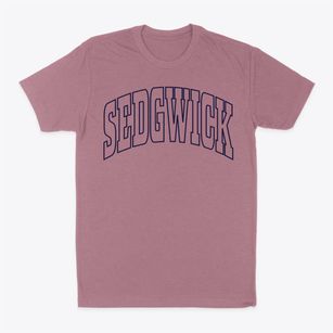 Sedgwick Kansas Trendy Block Classic Dad T-Shirt