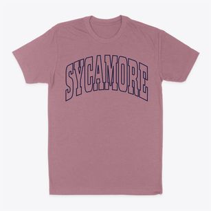 Sycamore Illinois Trendy Block Classic Dad T-Shirt