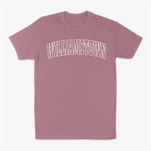 Williamstown Massachusetts Trendy Block Classic Dad T-Shirt